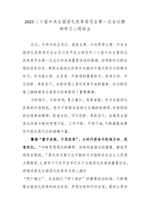 2023二十届中央全面深化改革委员会第一次会议精神学习心得体会.docx