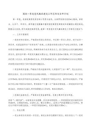 国投一季度党风廉政建设工作总结及全年计划.docx