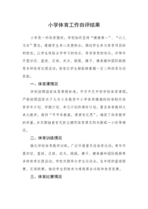 小学体育工作自评结果.docx