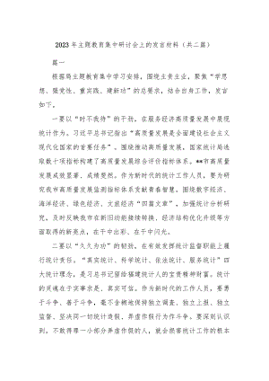 2023年主题教育集中研讨会上的发言材料(共二篇).docx