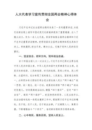 人大代表学习宣传贯彻全国两会精神心得体会.docx