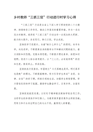 乡村教师“三抓三促”行动进行时学习心得通用四篇.docx