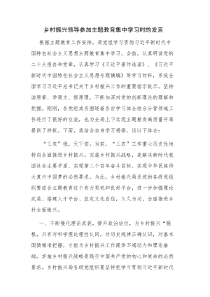 领导干部参加主题教育集中学习时的发言材料范文2篇.docx