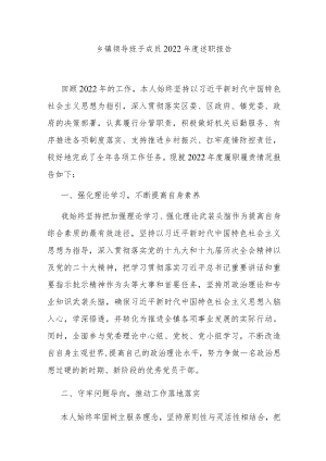 乡镇领导班子成员2022年度述职报告.docx