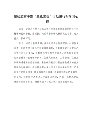 纪检监察干部“三抓三促”行动进行时学习心得.docx