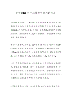 关于2023年主题教育中存在的问题.docx