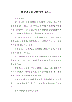 预算绩效目标管理暂行办法.docx