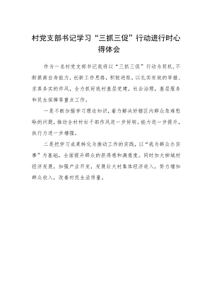 村党支部书记学习“三抓三促”行动进行时心得体会.docx