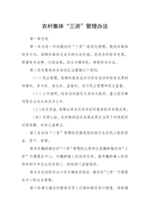 农村集体“三资”管理办法.docx
