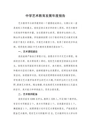 中学艺术教育发展年度报告.docx