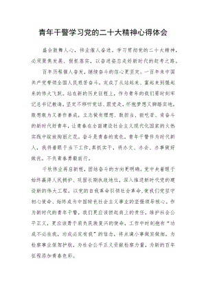 青年干警学习党的二十大精神心得体会.docx