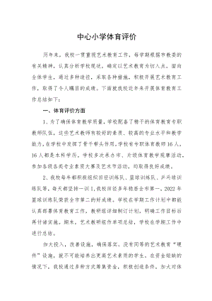 中心小学体育评价.docx