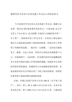 镇领导在全县非公企业党建工作会议上的表态发言.docx