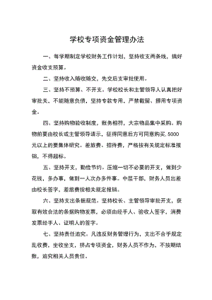 学校专项资金管理办法.docx