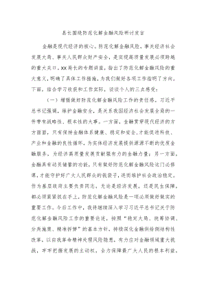 县长围绕防范化解金融风险研讨发言.docx