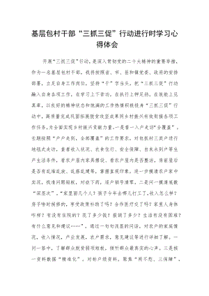 基层包村干部“三抓三促”行动进行时学习心得体会.docx