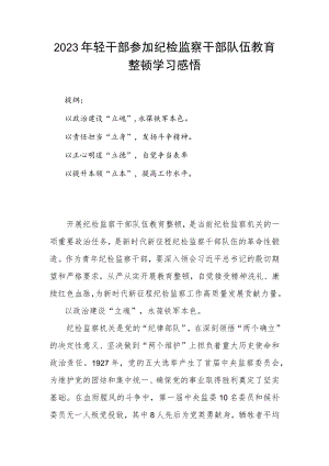 2023年轻干部参加纪检监察干部队伍教育整顿学习感悟.docx