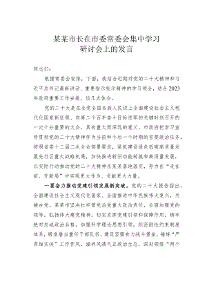 某某市长在市委常委会集中学习研讨会上的发言.docx