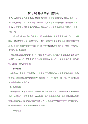 柿子树的秋季管理要点.docx