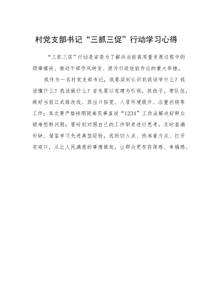 村党支部书记“三抓三促”行动学习心得.docx