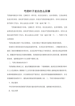 芍药叶子发白怎么回事.docx