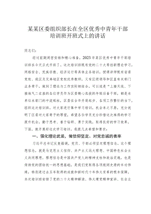 某某区委组织部长在全区优秀中青年干部培训班开班式上的讲话.docx