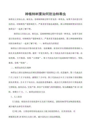 种植柿树要如何防治柿蒂虫.docx
