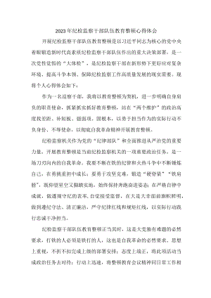 机关事业单位2023年纪检监察干部队伍教育整顿心得体会 汇编6份.docx