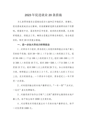 2023年促进就业20条措施.docx