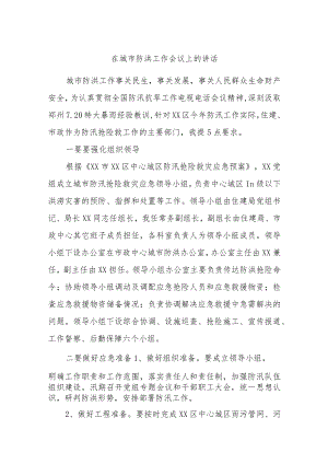 在城市防洪工作会议上的讲话.docx