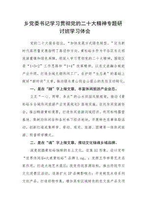 乡党委书记学习贯彻党的二十大精神专题研讨班学习体会.docx