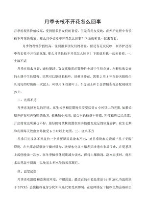月季长枝不开花怎么回事.docx