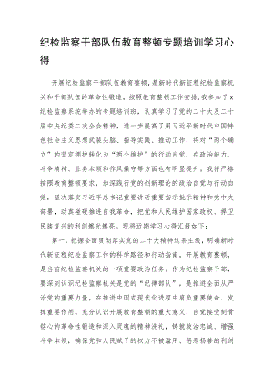 纪检监察干部队伍教育整顿专题培训学习心得.docx