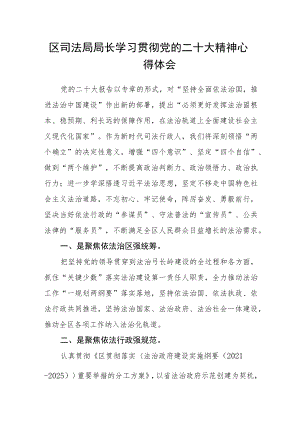 区司法局局长学习贯彻党的二十大精神心得体会.docx