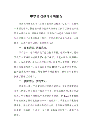 中学劳动教育开展情况.docx