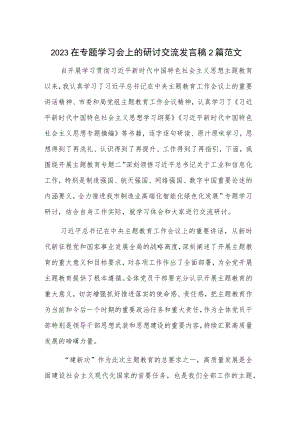 2023在专题学习会上的研讨交流发言稿2篇范文.docx