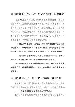 （共三篇）学校教师【“三抓三促”行动进行时】心得体会.docx