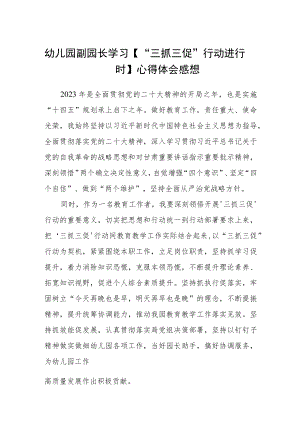 （共三篇）幼儿园副园长学习【“三抓三促”行动进行时】心得体会感想.docx