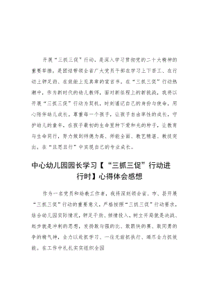（共三篇）幼儿教师“三抓三促”行动进行时学习心得.docx