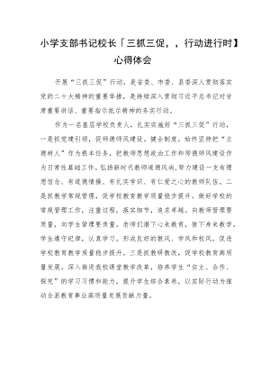 （共三篇）小学支部书记校长【“三抓三促”行动进行时】心得体会.docx