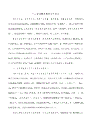 个人学深悟透教育心得体会.docx