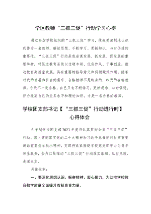 （共三篇）学区教师“三抓三促”行动学习心得.docx