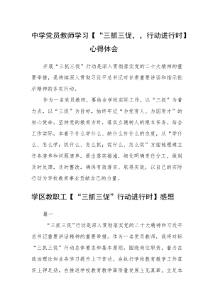 （共三篇）中学党员教师学习【“三抓三促”行动进行时】心得体会.docx