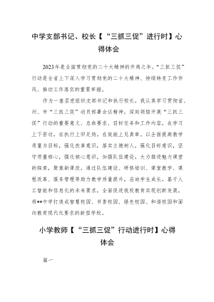 （共三篇）中学支部书记、校长【“三抓三促”进行时】心得体会.docx