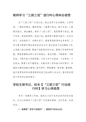 （共三篇）教师学习“三抓三促”进行时心得体会感想.docx