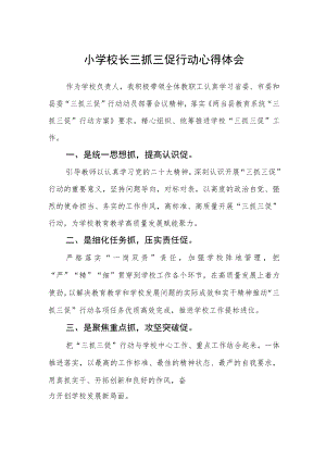 （共三篇）小学校长三抓三促行动心得体会.docx