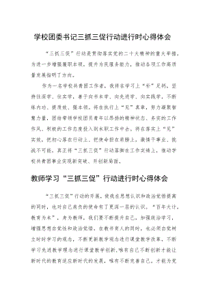 （共三篇）学校团委书记三抓三促行动进行时心得体会.docx