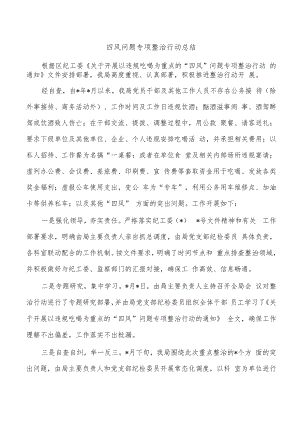 四风问题专项整治行动总结.docx
