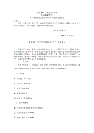 企业中长期安全生产工作规划模板.docx