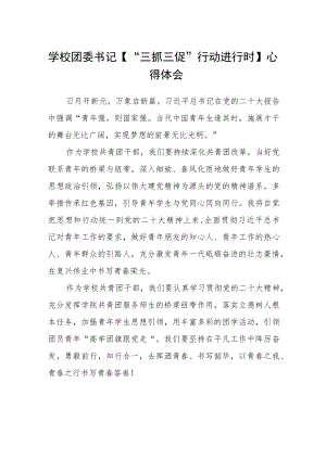 （共三篇）学校团委书记【“三抓三促”行动进行时】心得体会.docx